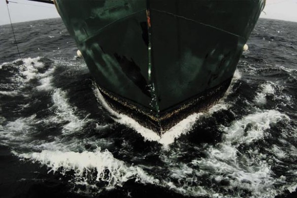 leviathan_WEB